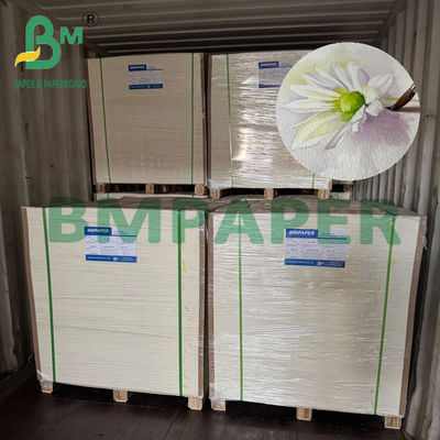 200/230/300 ग्राम नेचुरल व्हाइट वाटर कलर पेपर आर्ट प्रिंटिंग के लिए A4 A3