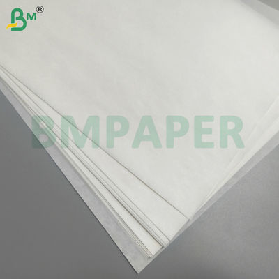 फल और सब्जी सुरक्षा बैग कागज जलरोधक कीट और पक्षियों से दूर