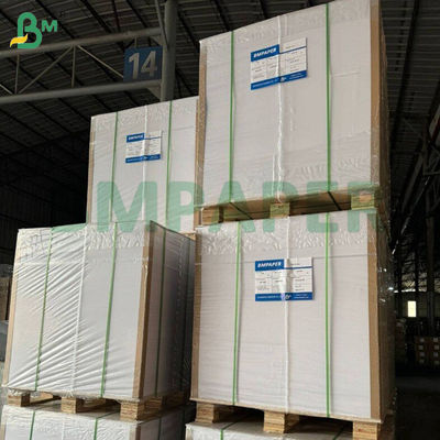 210gsm 230gsm Solid Bleached Sulfate C1S Paper For Folding Box  70 x 100cm