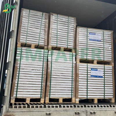 300 ग्राम 350 ग्राम 900 मिमी 1000 मिमी फ्रोजन फूड बॉक्स के लिए प्रिंट करने योग्य फ्रॉस्ट प्रतिरोधी फोल्डिंग पेपर