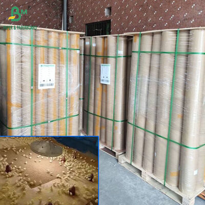 40gsm से 110gsm ब्राउन एब्जॉर्बेंट पोल्ट्री चिक पेपर 34 इंच 36 इंच चौड़ा