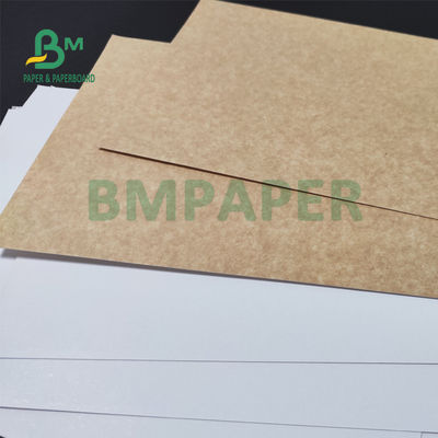 ब्रेड 70 X 100cm पैकिंग के लिए 325gsm यूनिफ़ॉर्म व्हाइट कोटेड क्राफ्ट बैक पेपर