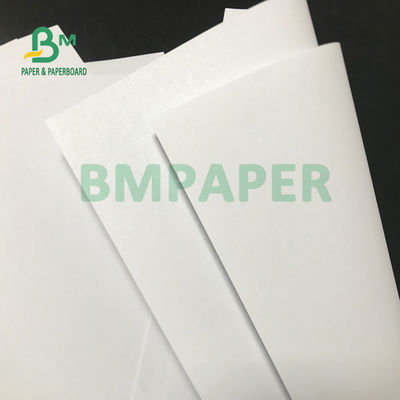 ब्रोशर 615mm X 912mm के लिए 200gsm 230gsm ऑफ़सेट प्रिंटिंग पेपर