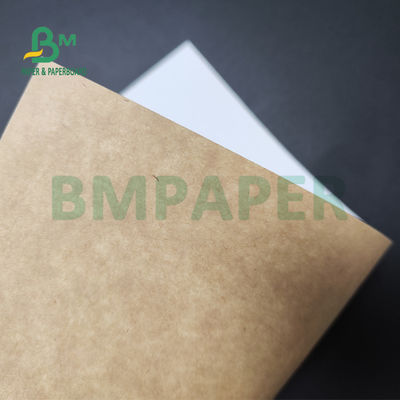 सलाद बॉक्स खाद्य सुरक्षित के लिए 250gsm 300gsm C1S क्राफ्ट बैक कोटेड डुप्लेक्स बोर्ड