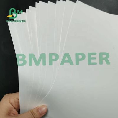 मैप्स के लिए 180um नॉन टियरेबल पीपी सिंथेटिक पेपर मैट सरफेस