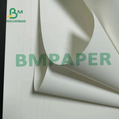 मैप्स के लिए 180um नॉन टियरेबल पीपी सिंथेटिक पेपर मैट सरफेस
