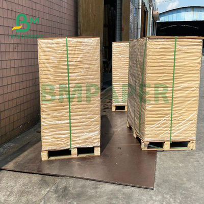 150gsm+20gsm प्लॉय कोटेड कप स्टॉक पेपर टिकाऊ 710mm X 900mm