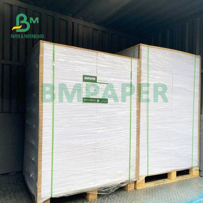 210gsm+15gsm कप PE फिल्म कोटेड पेपर अच्छी चमक 615mm X 850mm