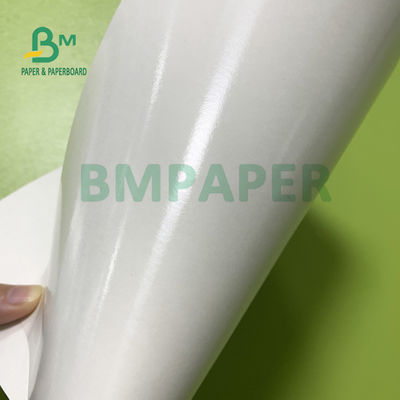 210gsm+15gsm कप PE फिल्म कोटेड पेपर अच्छी चमक 615mm X 850mm