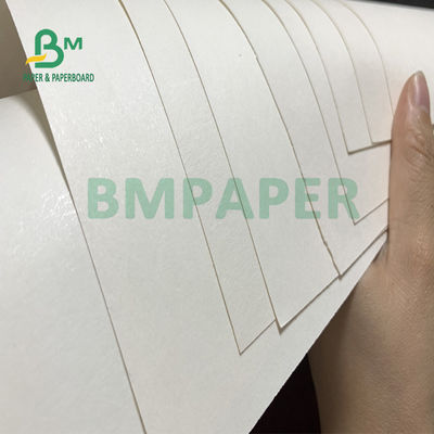 210gsm+15gsm कप PE फिल्म कोटेड पेपर अच्छी चमक 615mm X 850mm