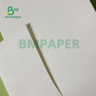 210gsm+15gsm कप PE फिल्म कोटेड पेपर अच्छी चमक 615mm X 850mm