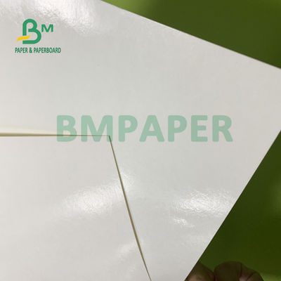 सूप बाउल 560 मिमी X 700 मिमी के लिए 230gsm + 15gsm स्थायित्व पीई लेपित कप स्टॉक पेपर