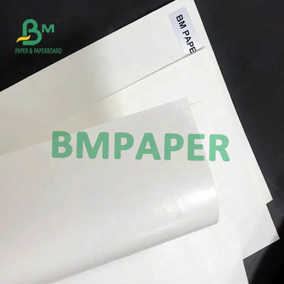पेपर कप के लिए व्हाइट कप स्टॉक पेपर रोल 200gsm + 15PE सिंगल साइड कोटेड