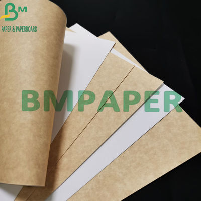 खाद्य कंटेनर के लिए ब्राउन बैक के साथ 300gsm फूड ग्रेड कोटेड व्हाइट क्राफ्ट पेपर