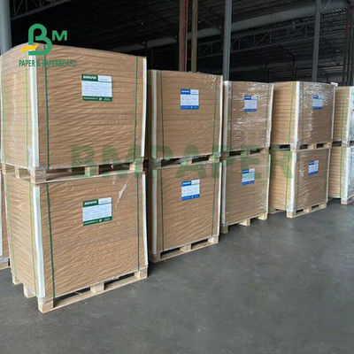 37' x 25' उच्च भारी FBB खाद्य बोर्ड चॉकलेट पैकेजिंग के लिए 325gsm 350gsm