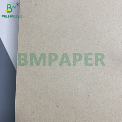 130g 300g प्राकृतिक गन्ना बैगसे खाद्य प्लेटों के लिए पल्स पेपर रोल बायोडिग्रेडेबल कार्डबोर्ड