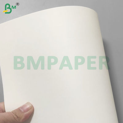 पीई लेपित लीक-प्रूफ कप स्टॉक पेपर रोल पीने के लिए 190gsm+10gsm