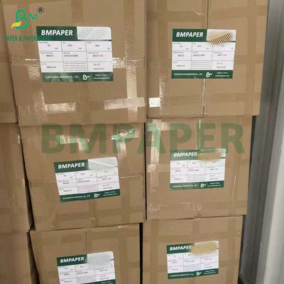 खाद्य ग्रेड ब्लीच अनब्लीच 40GSM 50GSM कॉफी फिल्टर पेपर रोल 1200 मिमी