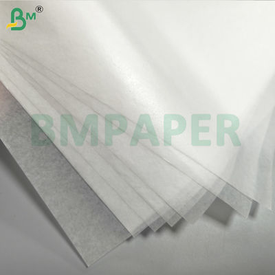 फल और सब्जी सुरक्षा बैग कागज जलरोधक कीट और पक्षियों से दूर