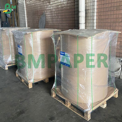 फल और सब्जी सुरक्षा बैग कागज जलरोधक कीट और पक्षियों से दूर