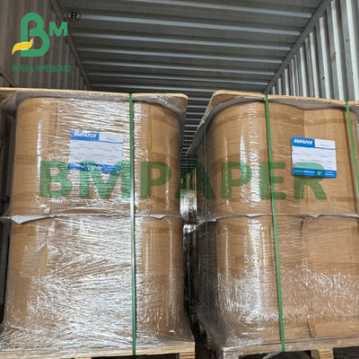 कॉफी के लिए 50gsm हीट सील खाद्य ग्रेड ब्राउन फिल्टर पेपर रोल