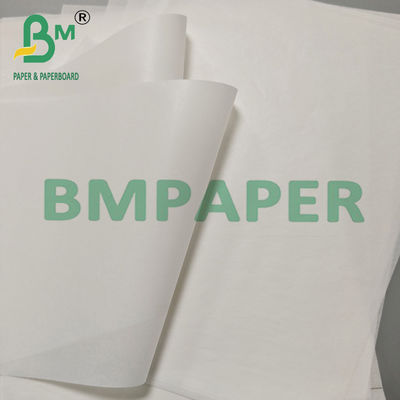 30-60gsm Silicone Treated Kraft Paper on Rolls For Food Packaging
