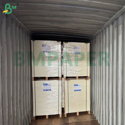 240gsm +15PE मैट कपस्टॉक पेपर पॉपकॉर्न बकेट बनाने के लिए 61 X 86cm