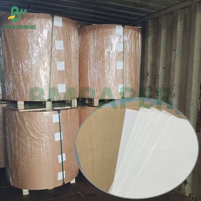 Crepe Surface Eco friendly Coffee Filter Paper 30g 50g for Disposable Use