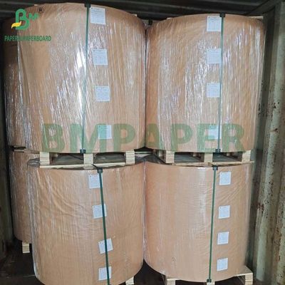 Crepe Surface Eco friendly Coffee Filter Paper 30g 50g for Disposable Use