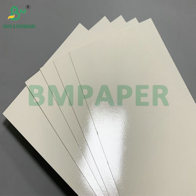 One Side PE Coated Waterproof Oilproof 300g Printable Cardboard Used For Paper Bowls