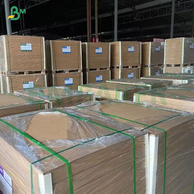 पेपर कप के लिए 250gsm अनब्लिच्ड पीई कोटेड बांस क्राफ्ट पेपर