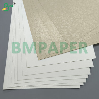 खाद्य-ग्रेड कटोरा और पकवान विशेष कागज / प्लेट कागज, पीईटी लेपित