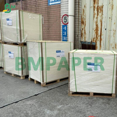 खाद्य-ग्रेड कटोरा और पकवान विशेष कागज / प्लेट कागज, पीईटी लेपित