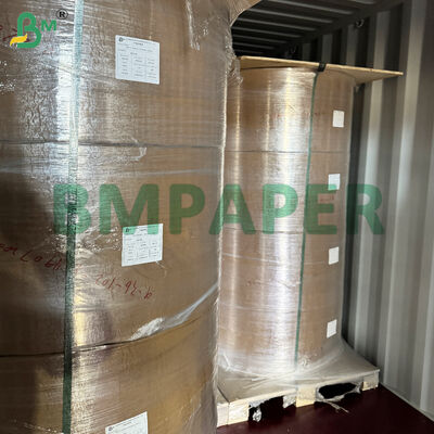 खाद्य-ग्रेड कटोरा और पकवान विशेष कागज / प्लेट कागज, पीईटी लेपित