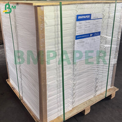 100% कपास कच्ची बनावट कलाकार चित्रकला के लिए जल रंग कागज 300 ग्राम 70 सेमी X 50 सेमी आकार