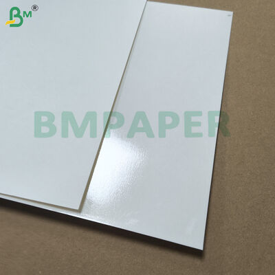 डिनरवेयर प्लेट और डिश हीट प्रतिरोध के लिए पीईटी लेपित श्वेत पत्र