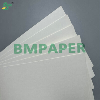 उच्च गुणवत्ता वाली एकल पक्षीय पीई लेपित 190GSM 220 GSM कप पेपर स्वचालित कप बनाने की मशीनों के लिए कच्चा माल